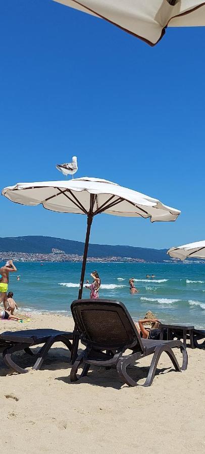 Abelia Residence Apartment Regina Sunny Beach Buitenkant foto