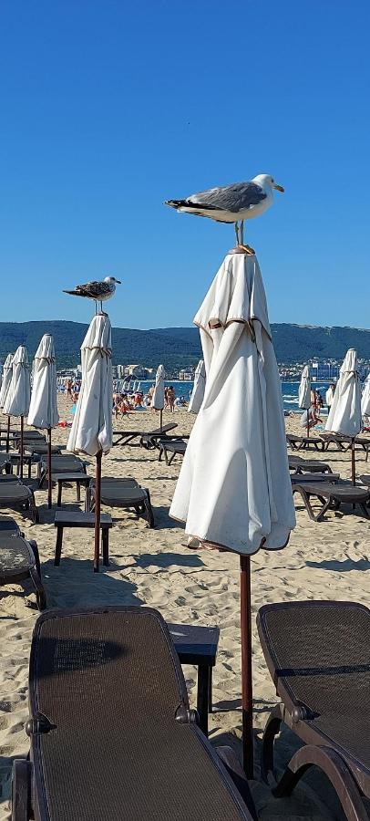 Abelia Residence Apartment Regina Sunny Beach Buitenkant foto